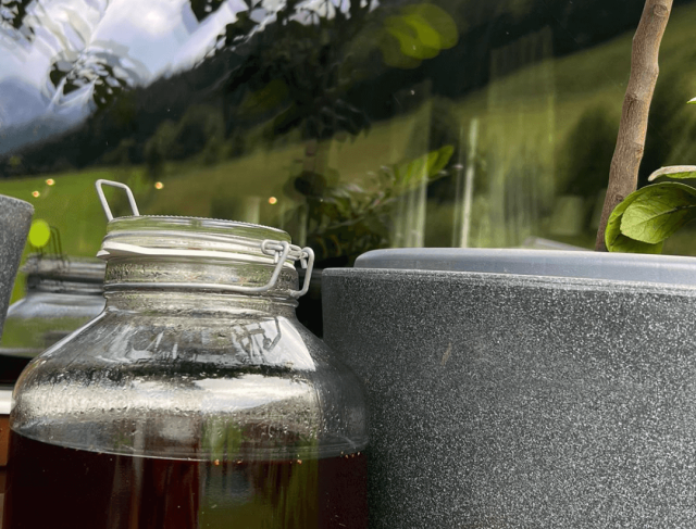 🏞️ Hotel Lärchenhof Kleinarl 🌿 Bio-Genuss & Natur pur