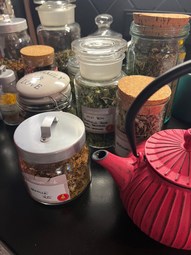 Gläser mit getrockneten Kräutern und rote Teekanne auf Tisch